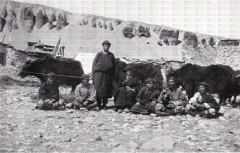 DN-95d
